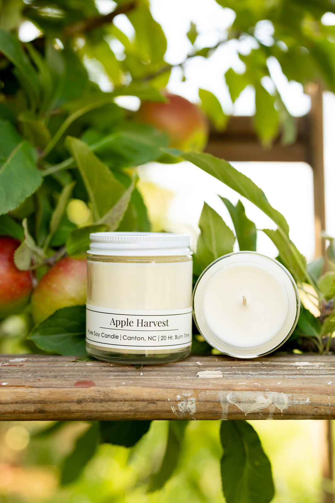 Fall Soy Candles 2026