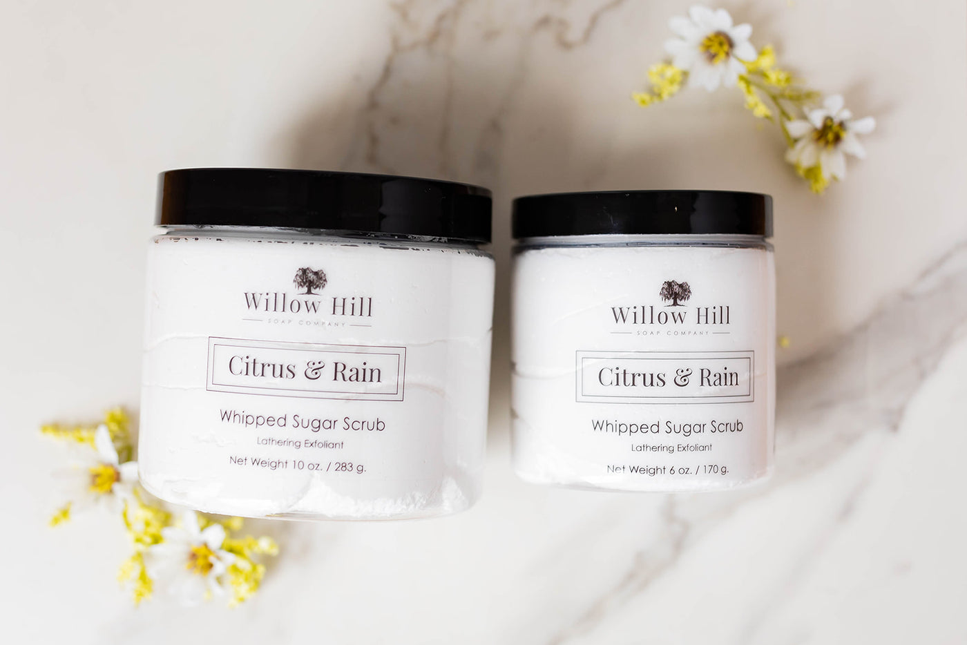 SPRING HAND & BODY CARE